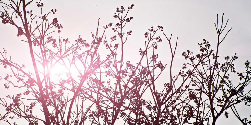 PC玩家必读法律盾牌：从账号被盗到消费纠纷的完整维权指南