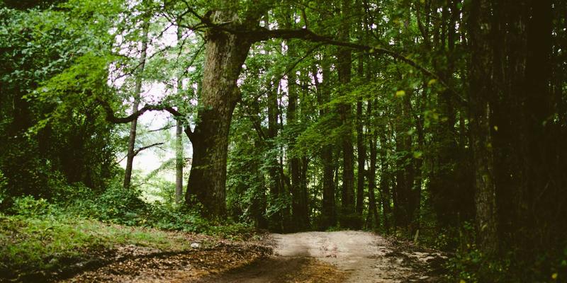 从入门到大师:PC游戏直播推流终极指南,OBS高级设置、硬件编码与网络优化全解析