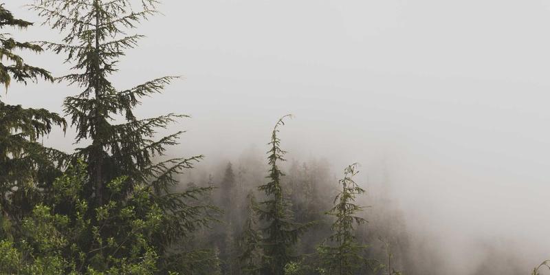 键盘与鼠标的王国：为何RTS与沉浸式模拟游戏在PC平台独占鳌头